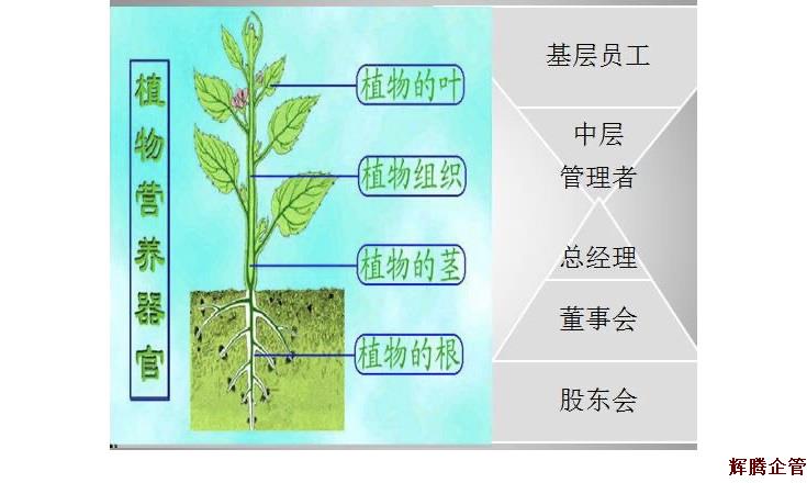 企業與樹(shù).jpg